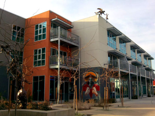 Multi-Family