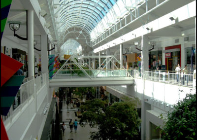 arden-fair-3