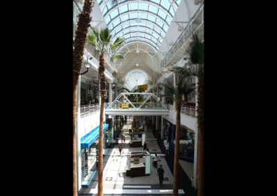 arden-fair-4