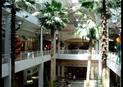 arden-fair-5