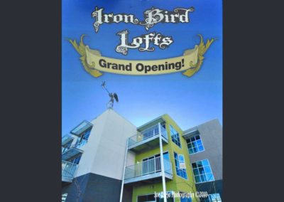 Iron-bird-0