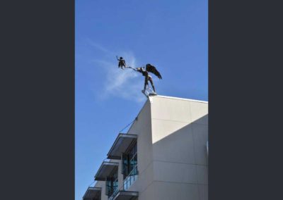 Iron-bird-7